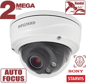 Купольная IP-камера SV2018DVZ