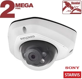 Купольная IP-камера SV2012DM