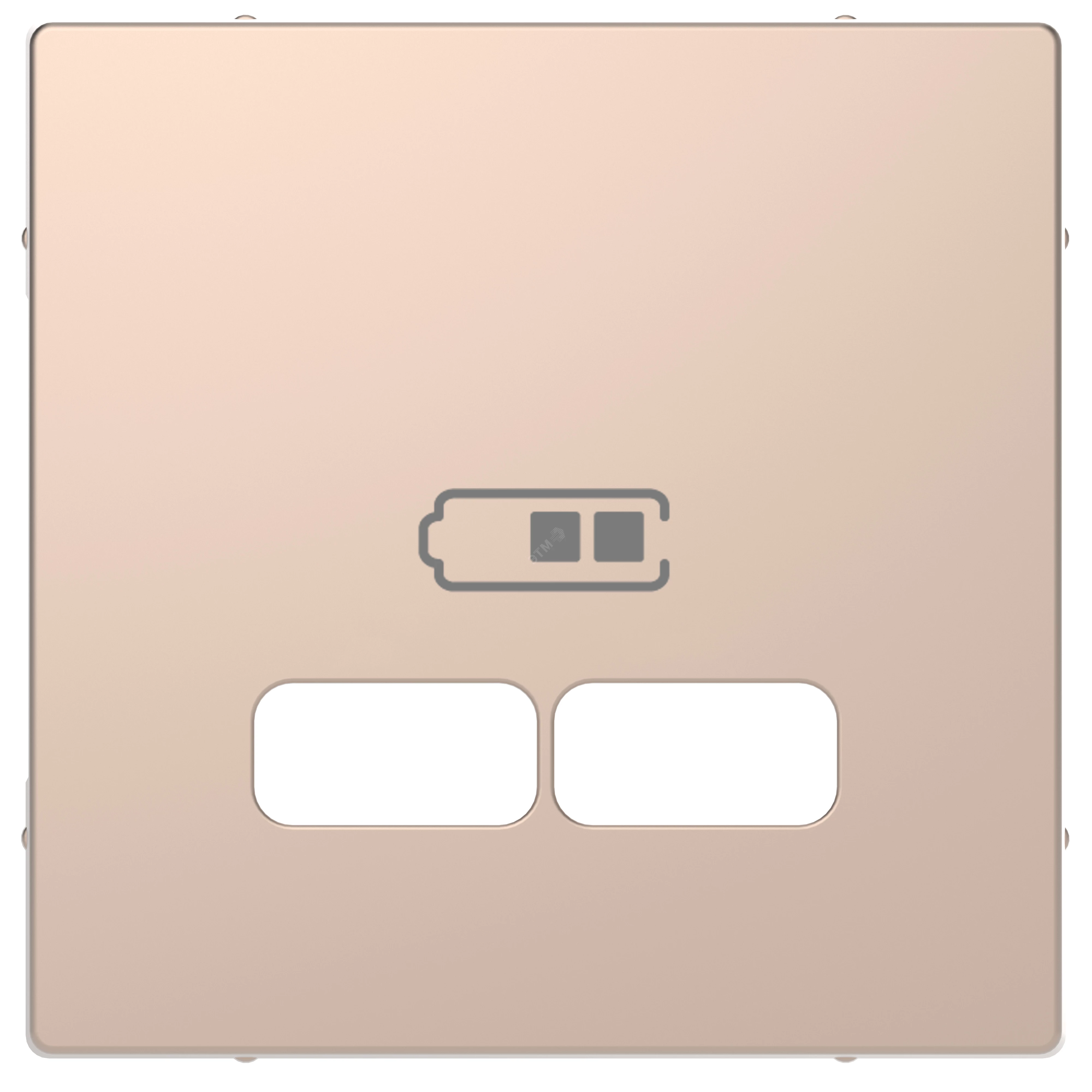 D-Life, ЦЕНТРАЛЬНАЯ НАКЛАДКА для USB механизма 2,1А, ШАМПАНЬ, SD